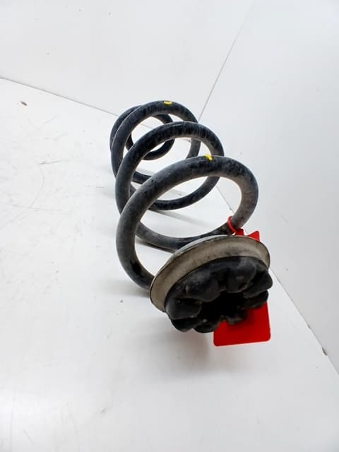 Muelle amortiguacion NISSAN X-TRAIL (T31)