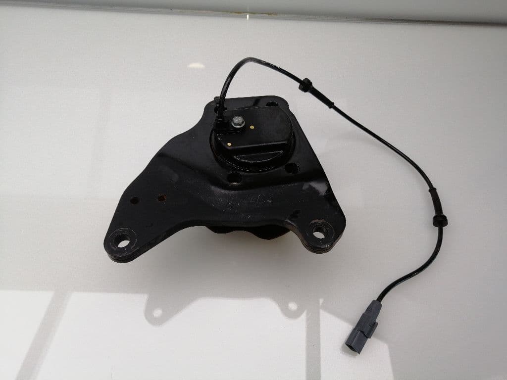 Mangueta trasera izquierda RENAULT KADJAR 3