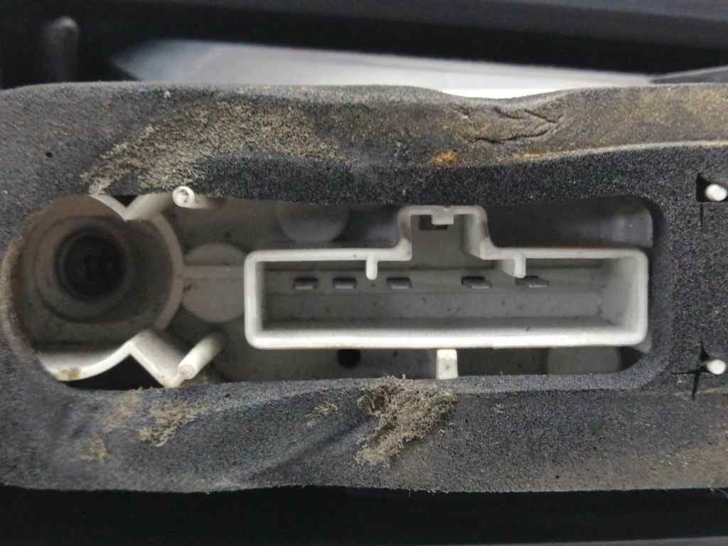 Piloto trasero derecho FORD FOCUS 5