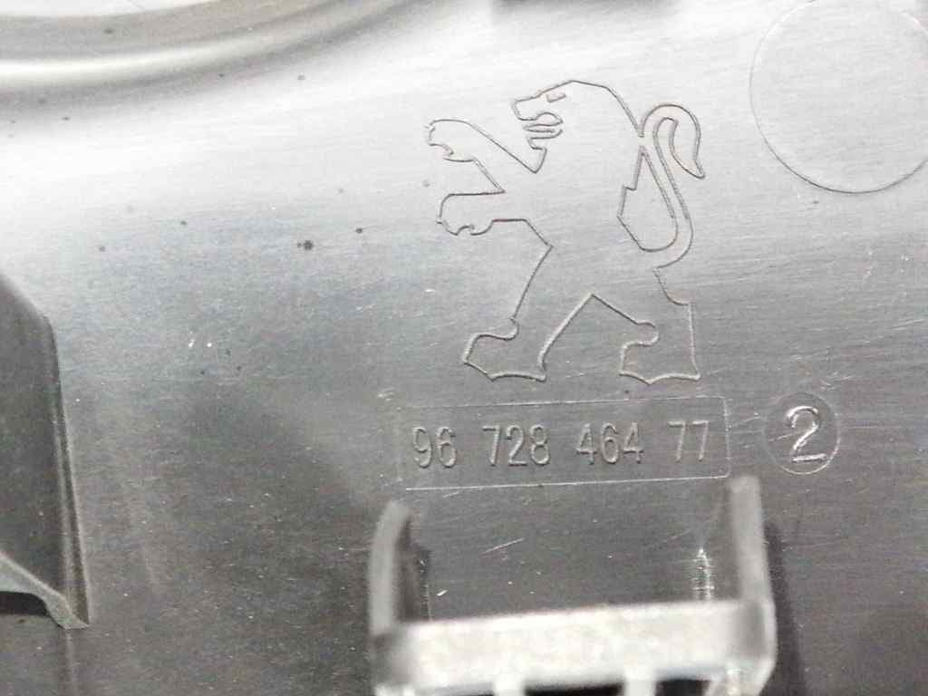 Plastico PEUGEOT 208 2