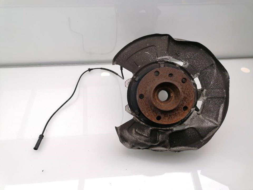 Mangueta trasera derecha BMW X5 (E70)