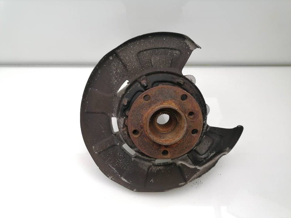 Mangueta trasera izquierda BMW X5 (E70)
