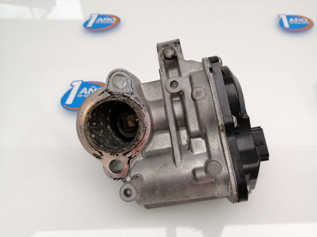 Valvula egr RENAULT SCENIC III