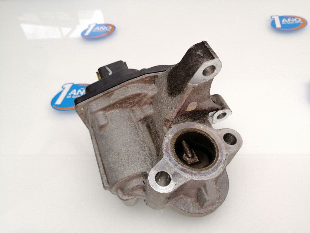 Valvula egr RENAULT SCENIC III 4