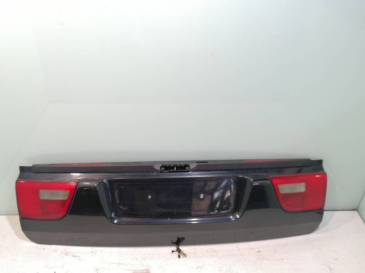 Porton trasero BMW X5 (E70)