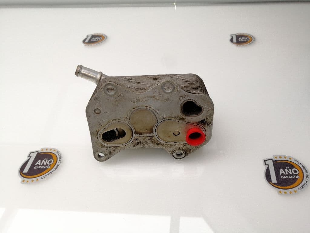Radiador aceite AUDI S3 SPORTBACK (8P) 2