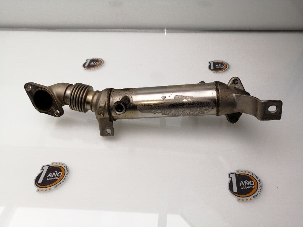 Enfriador egr HONDA ACCORD BERLINA (CU) 3