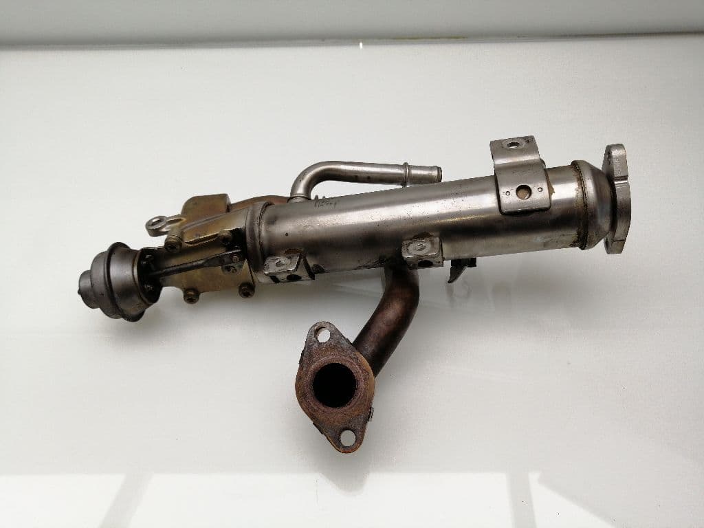 Enfriador egr SEAT EXEO BERLINA (3R2) 3