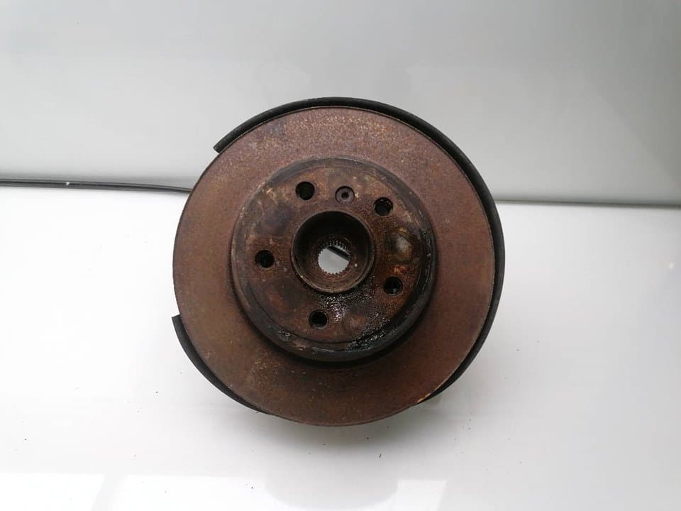 Mangueta trasera derecha BMW X5 (E70)