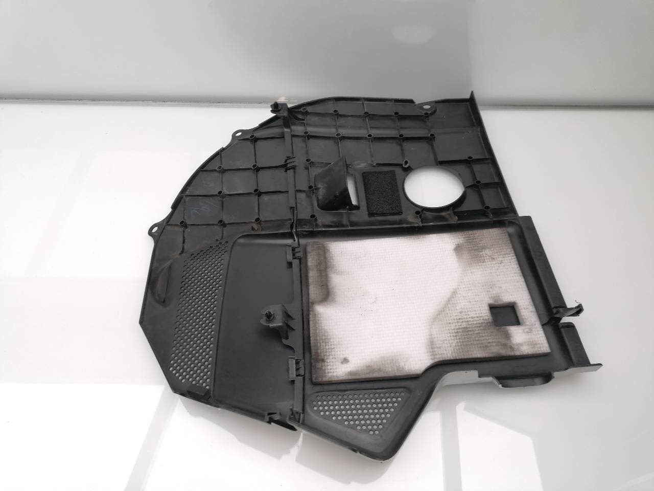 Plastico LEXUS RX 4