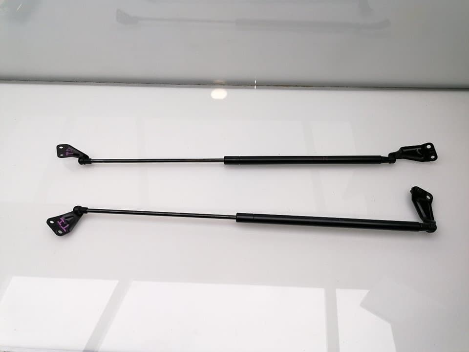 Amortiguadores maletero / porton NISSAN JUKE (F15)