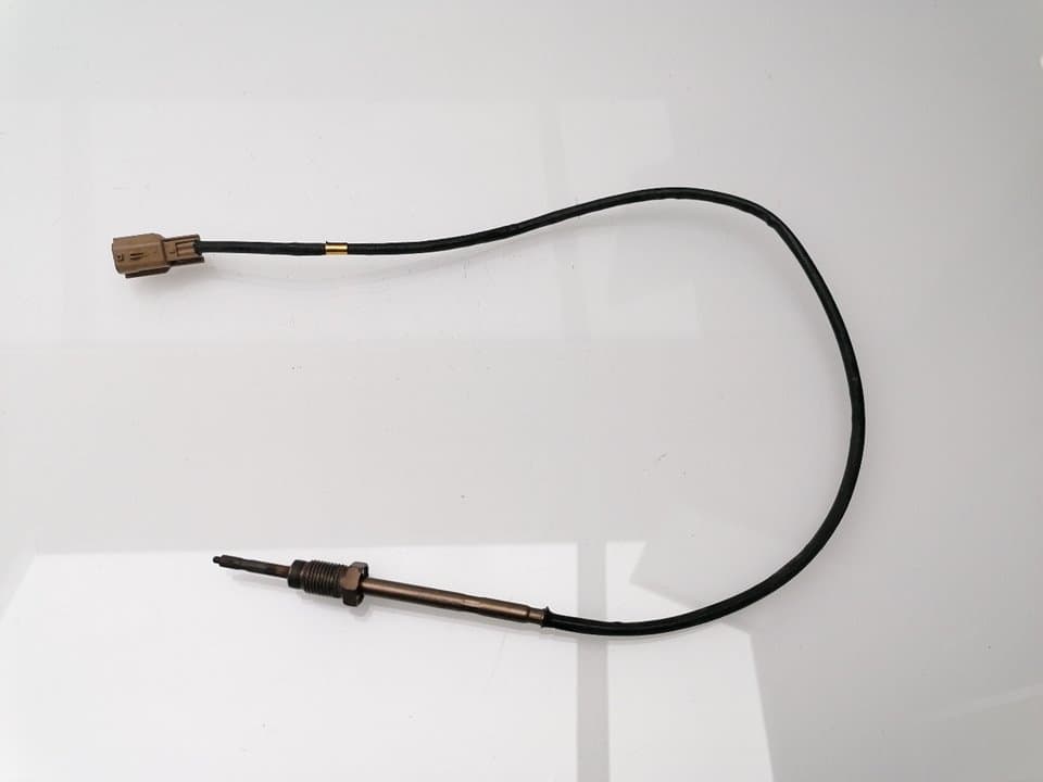 Sensor RENAULT KANGOO (F/KC0)