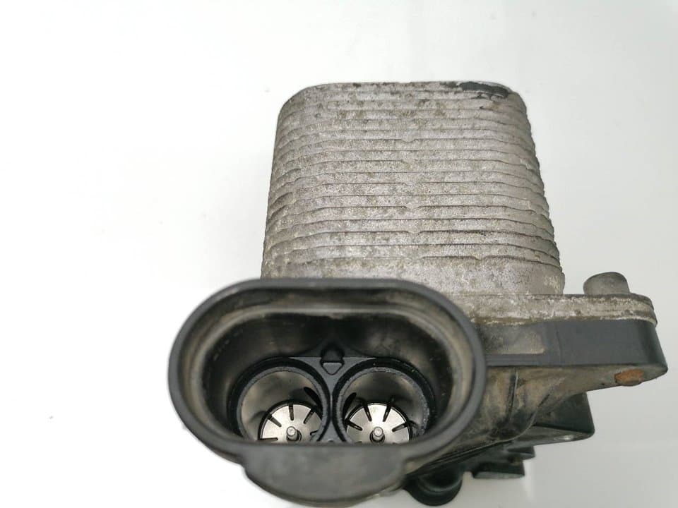 Radiador aceite BMW X3 (E83) 4