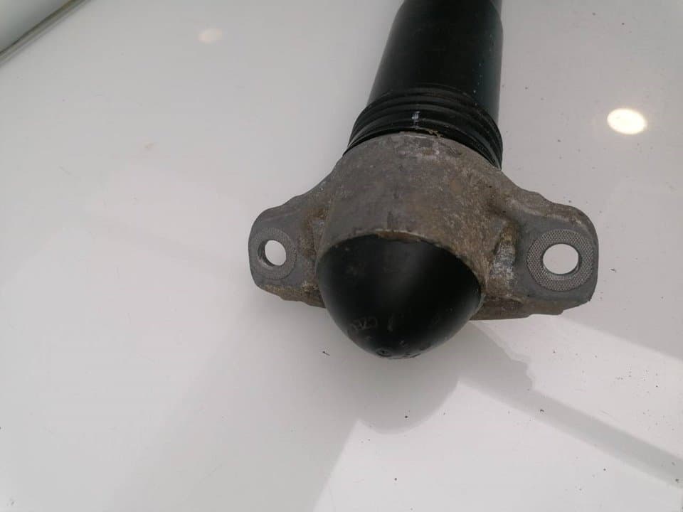 Amortiguador trasero derecho SEAT ALTEA (5P1) 4