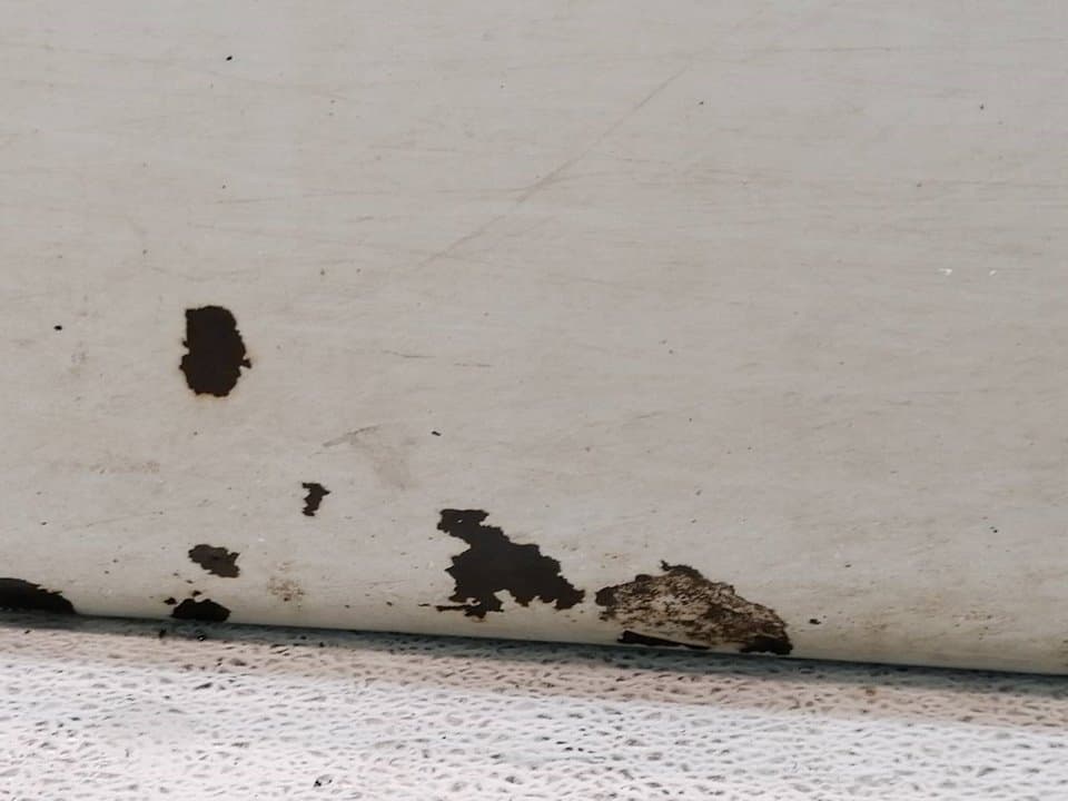 Puerta delantera izquierda NISSAN TERRANO/TERRANO.II (R20) 4