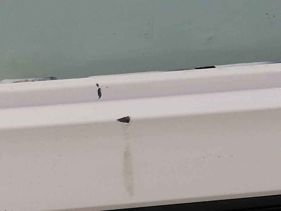 Faldon lateral BMW SERIE 1 LIM 4