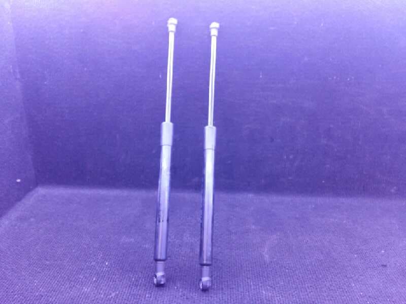 Amortiguadores capo BMW SERIE 3 BERLINA (E90)