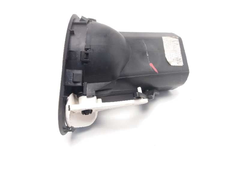 Plastico RENAULT CLIO III 4