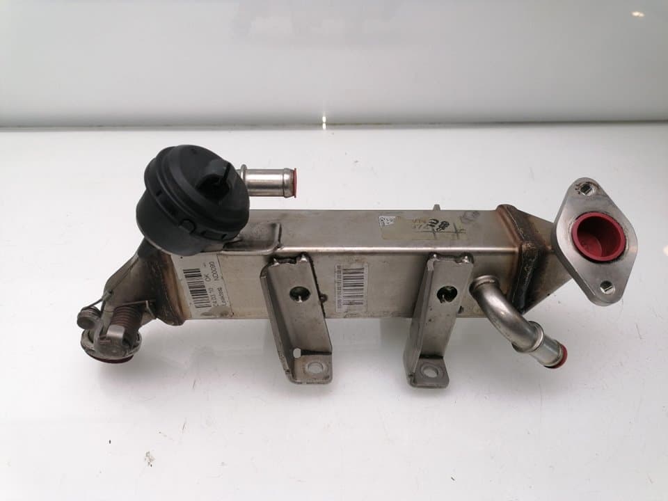 Enfriador egr RENAULT LAGUNA III 2