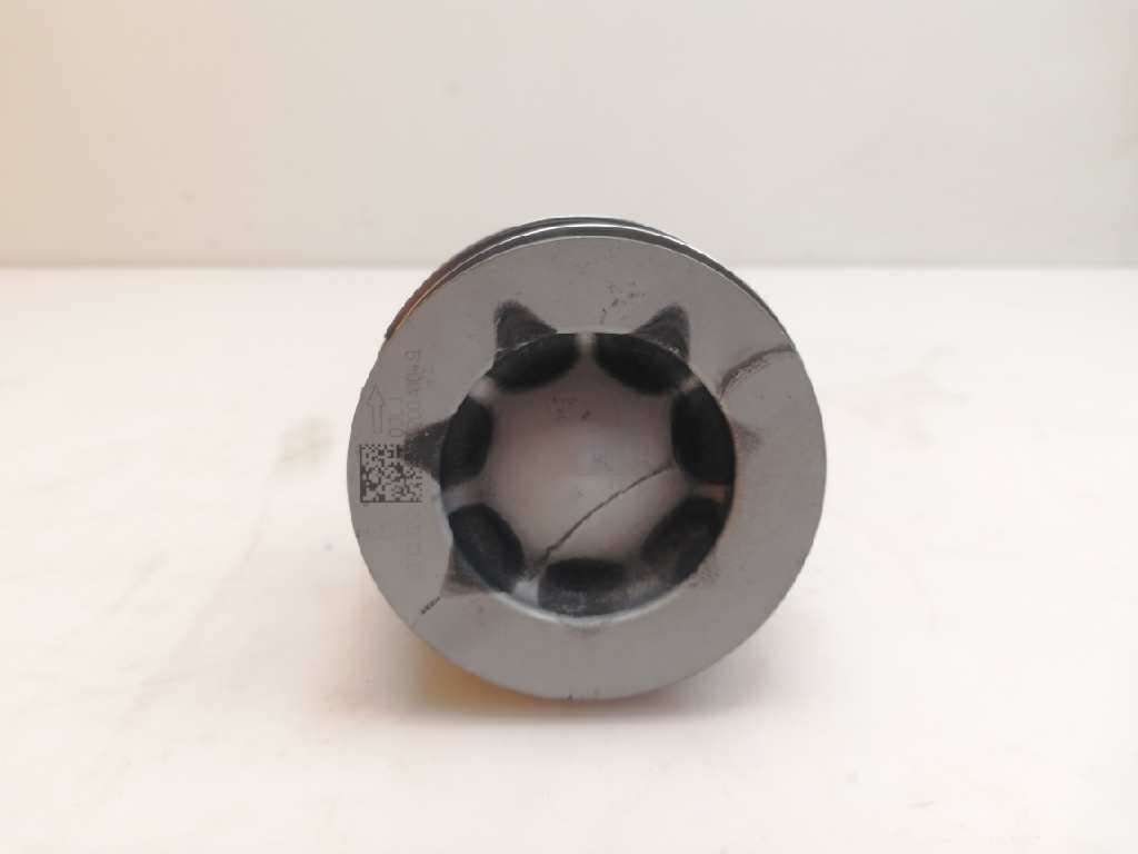 Piston SKODA RAPID 2