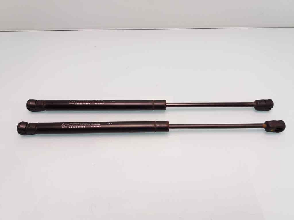 Amortiguadores maletero / porton DAEWOO KALOS