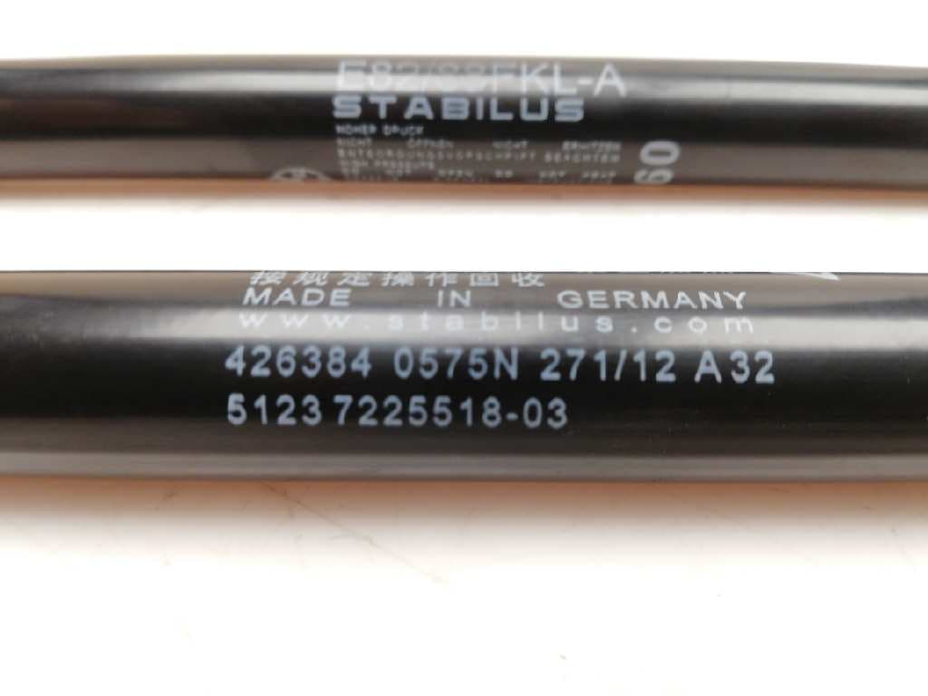 Amortiguadores capo BMW SERIE 1M COUPE (E82) 3