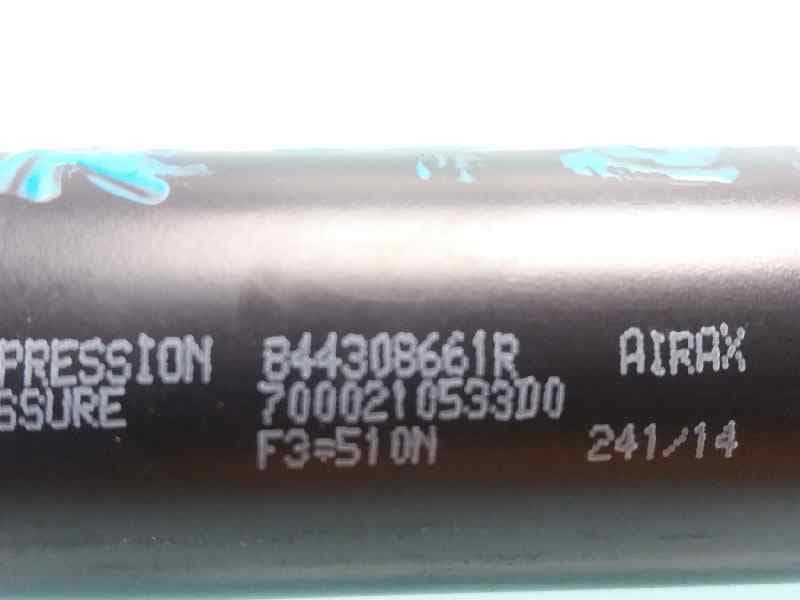 Amortiguadores maletero / porton RENAULT CLIO IV 3