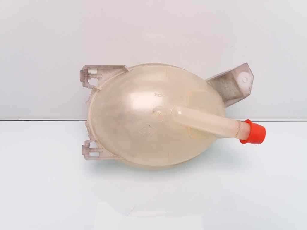 Deposito expansion RENAULT CLIO IV 5