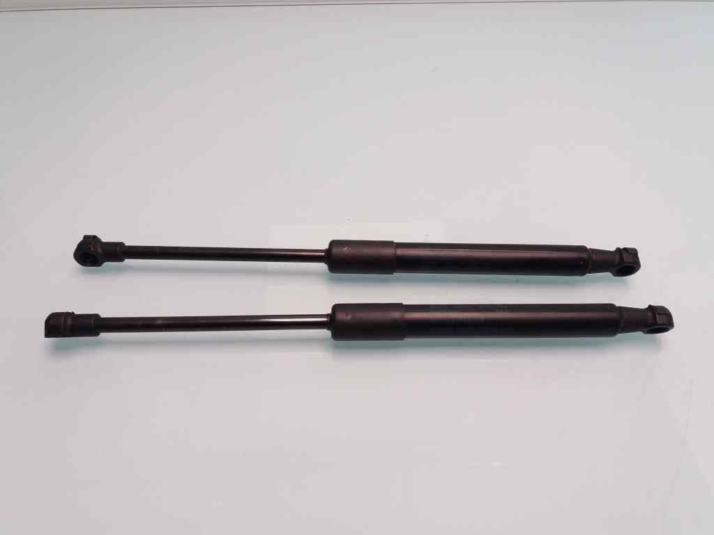 Amortiguadores capo AUDI Q5 (8R)