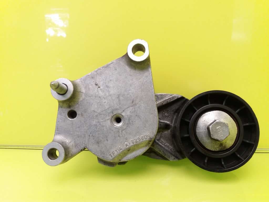 Tensor correa auxiliar PEUGEOT 307 BREAK / SW (S1)