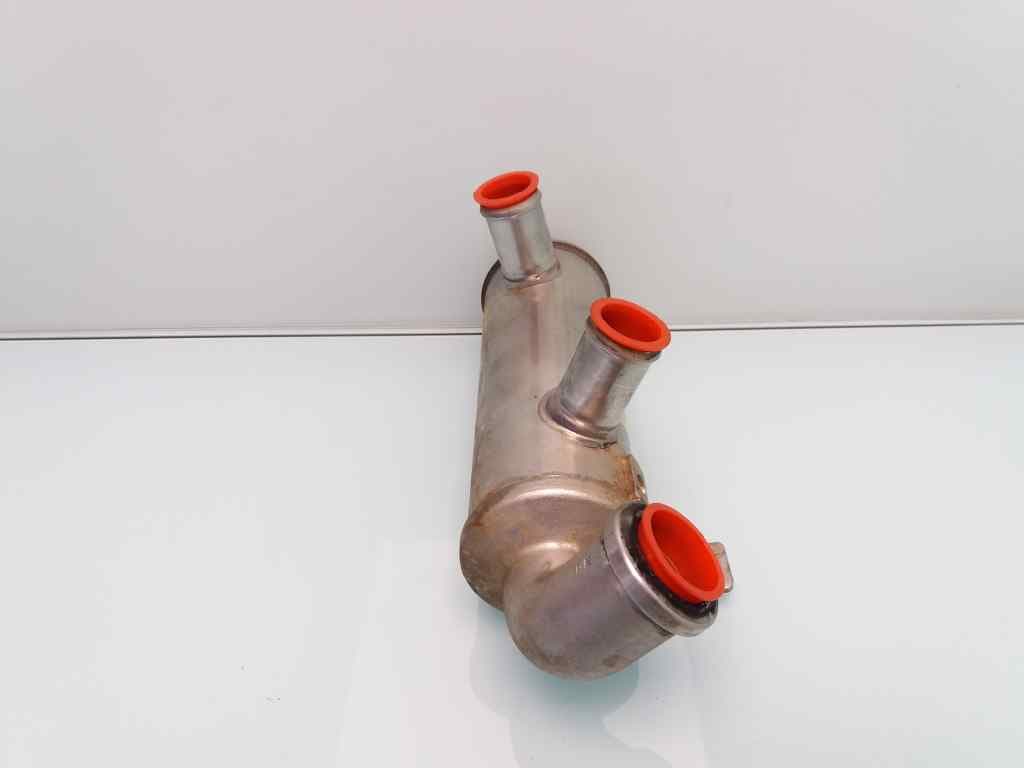 Valvula egr FORD FIESTA (CE1) 3