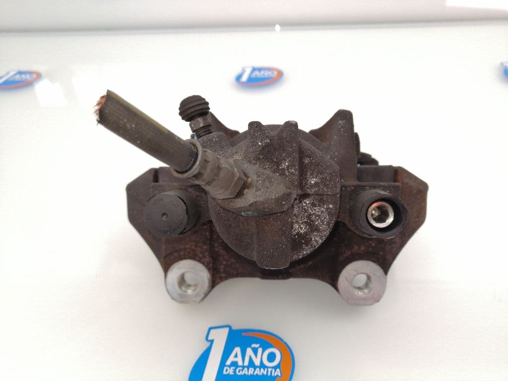 Recambio DACIA SANDERO ref. 410103921R 4