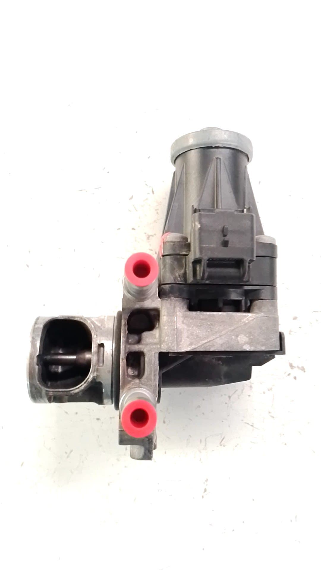 Valvula egr FIAT DOBLO FURGONETA/MONOVOLUMEN (510_, 511_)