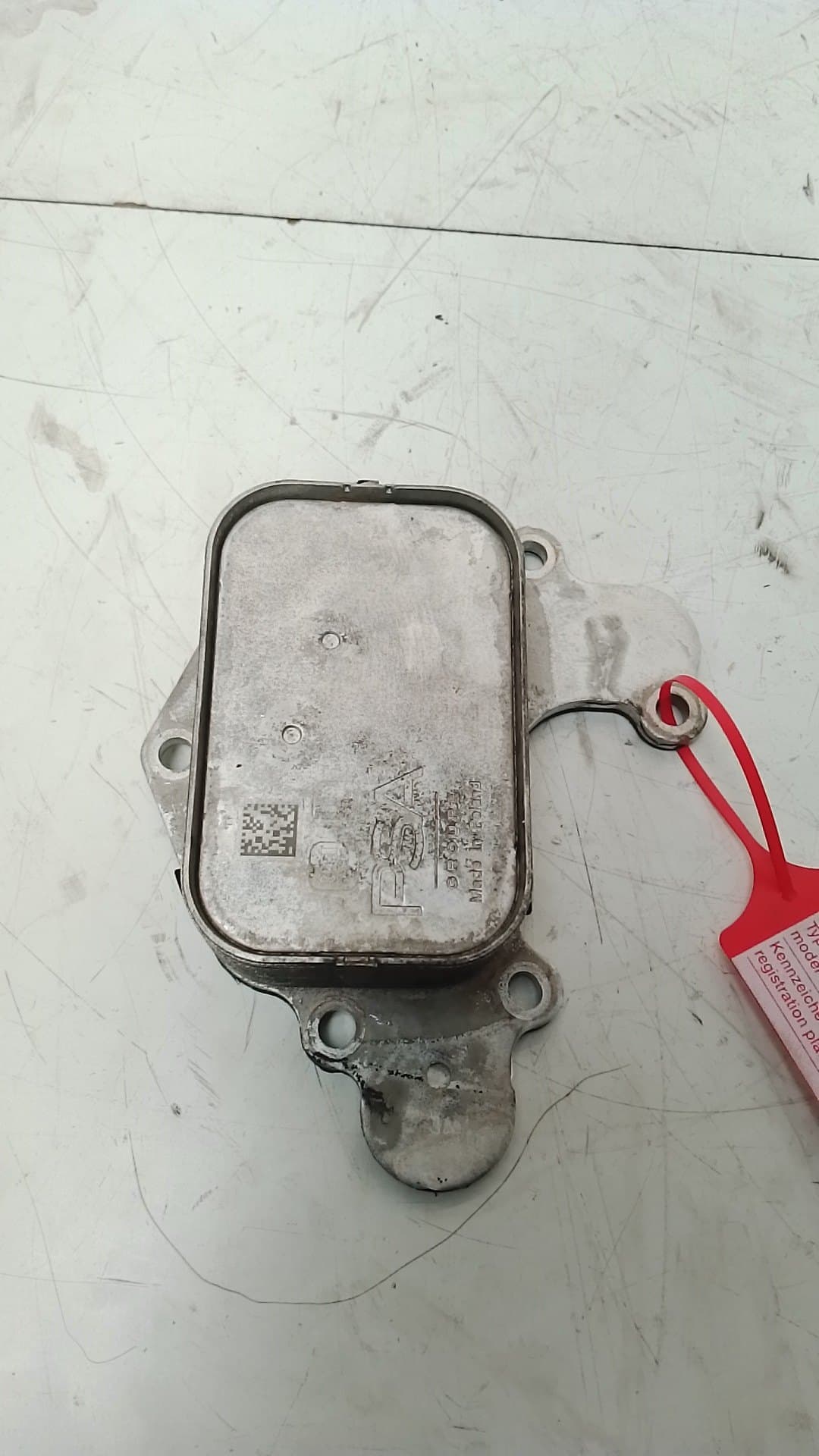 Radiador aceite FIAT 600E / 600 (365_, 364_)