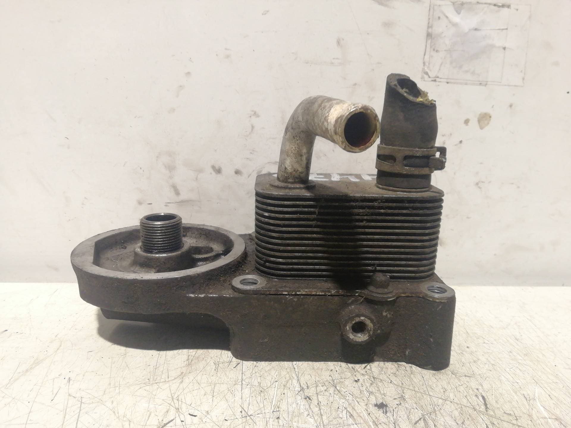 Radiador aceite FORD FOCUS BERLINA (CAK)