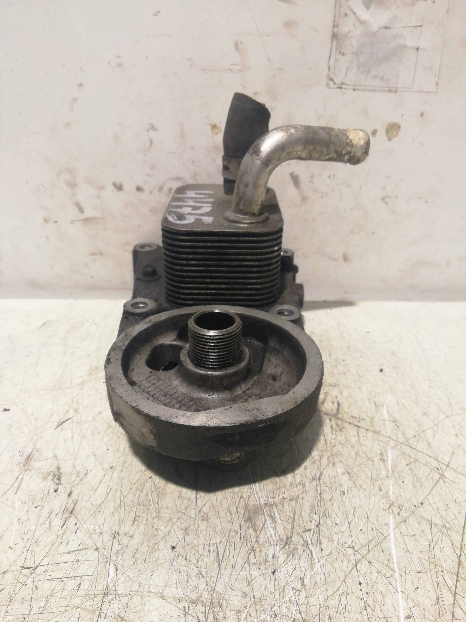 Radiador aceite FORD FOCUS BERLINA (CAK) 5