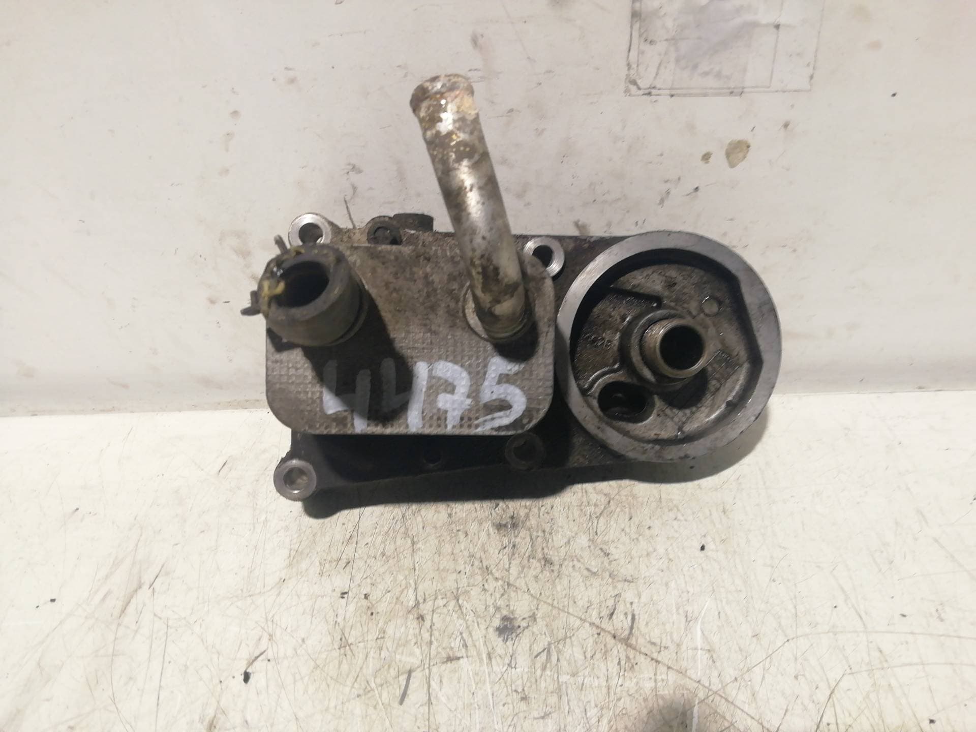 Radiador aceite FORD FOCUS BERLINA (CAK) 4