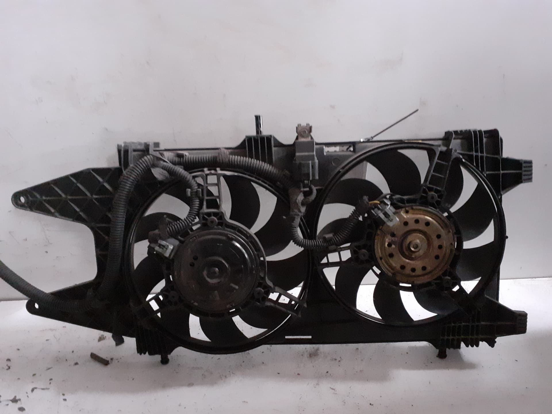 Electroventilador FIAT PUNTO BERLINA (188)