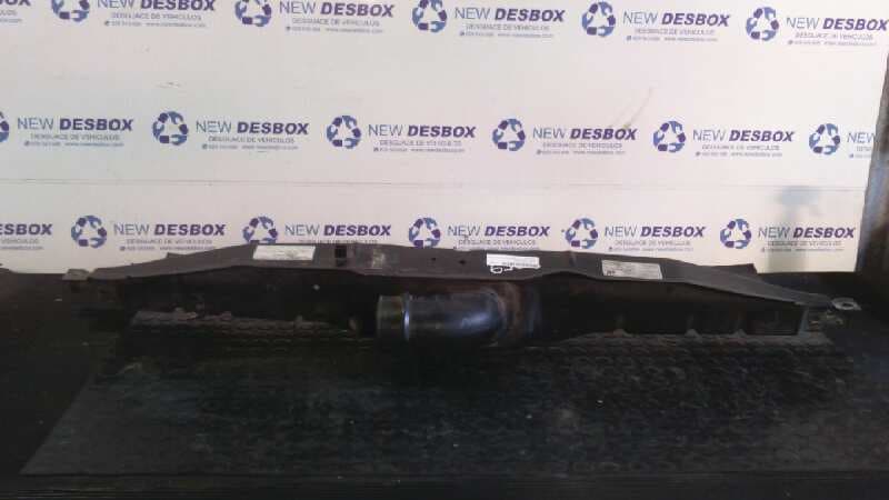 Recambio de PANEL FRONTAL para FIAT DUCATO CAJA ABEIRTA 33 (06.2006 =>) 2.3 JTD CAT F1AE0481D referencia OEM IAM    - BLANCO 2
