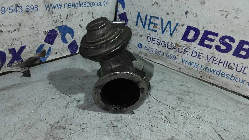 Recambio de VALVULA EGR para FORD ESCORT BERL./TURNIER RVA referencia OEM IAM 96FF9D475AC 4