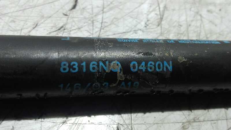 Recambio de AMORTIGUADORES MALETERO / PORTON para FIAT STILO (192) 1.6 16V 182B6000 referencia OEM IAM 8316NQ0460N   - AZUL 2
