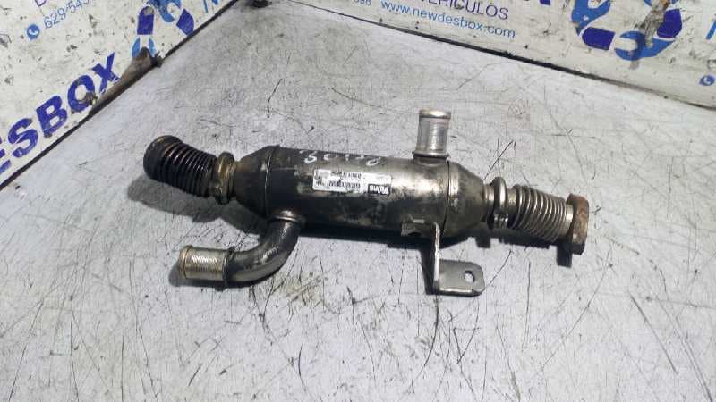 Recambio de ENFRIADOR EGR para CITROEN XSARA BERLINA 2.0 HDi 66kW Premier RHY        referencia OEM IAM 9627242880   - AZUL 2
