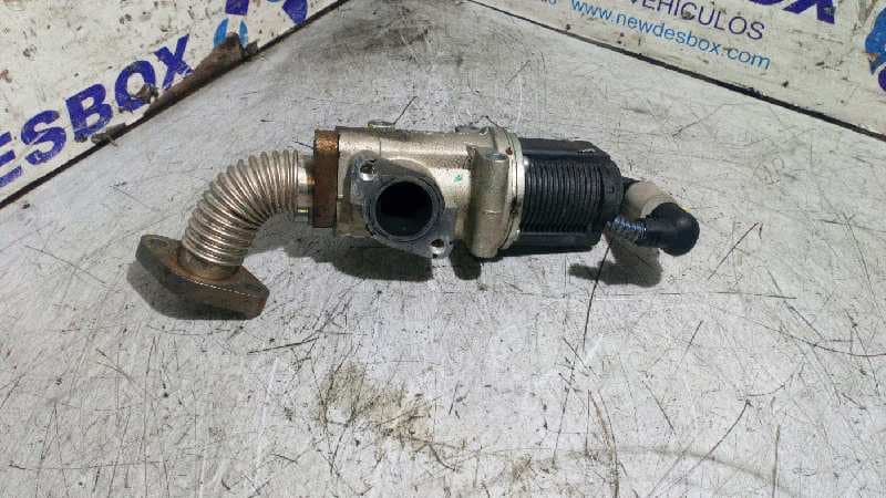Recambio de VALVULA EGR para SUZUKI SX4 RW (EY) GL+ D19AA referencia OEM IAM 50024005   - NEGRO