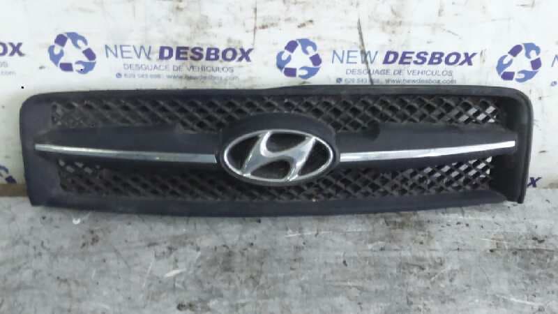 Recambio de REJILLA DELANTERA para HYUNDAI TUCSON (JM) 2.0 CRDi CAT D4EA referencia OEM IAM    - PLATA