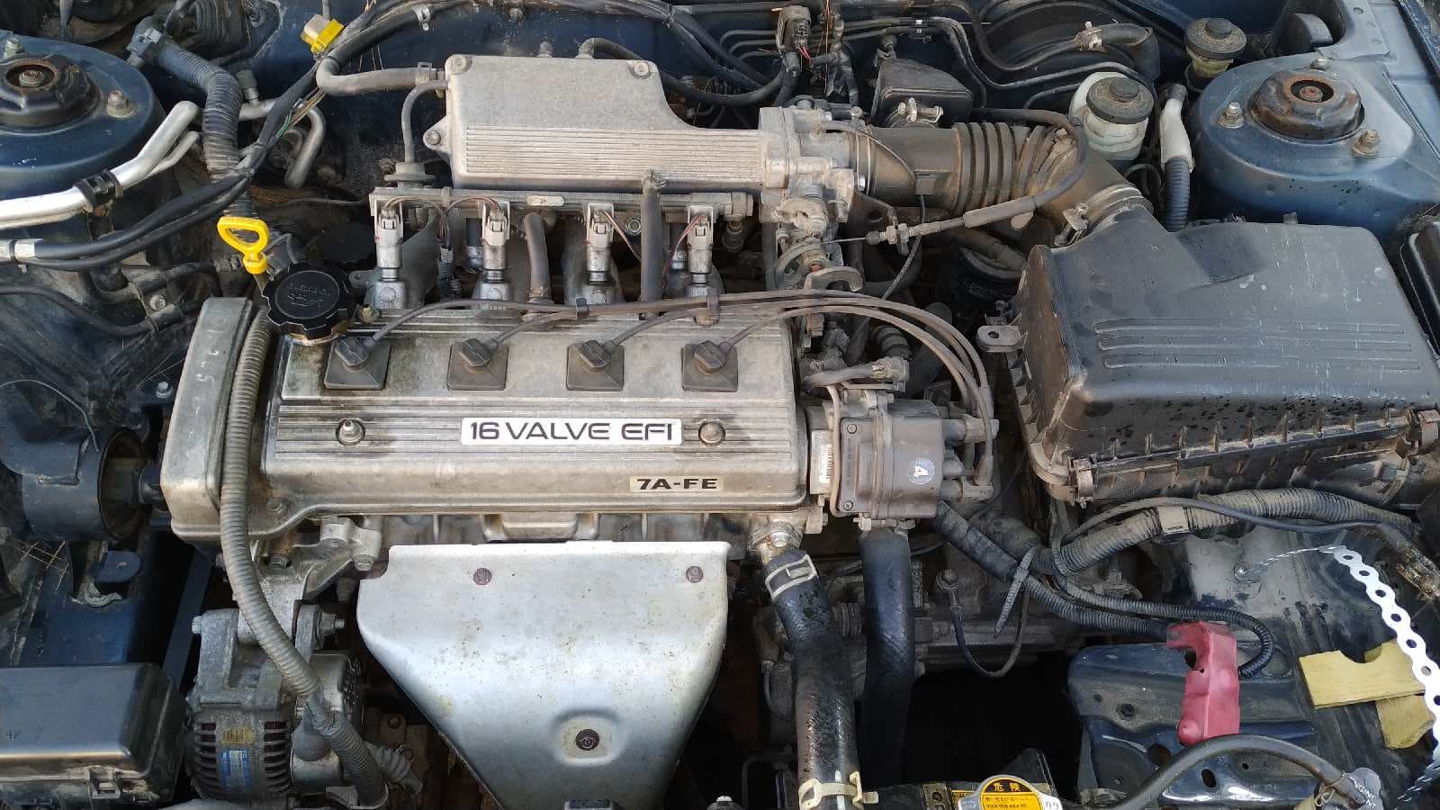 Recambio de PARAGOLPES TRASERO para TOYOTA CELICA (T20) 1.8 16V CAT 7AFE referencia OEM IAM   - AZUL 11