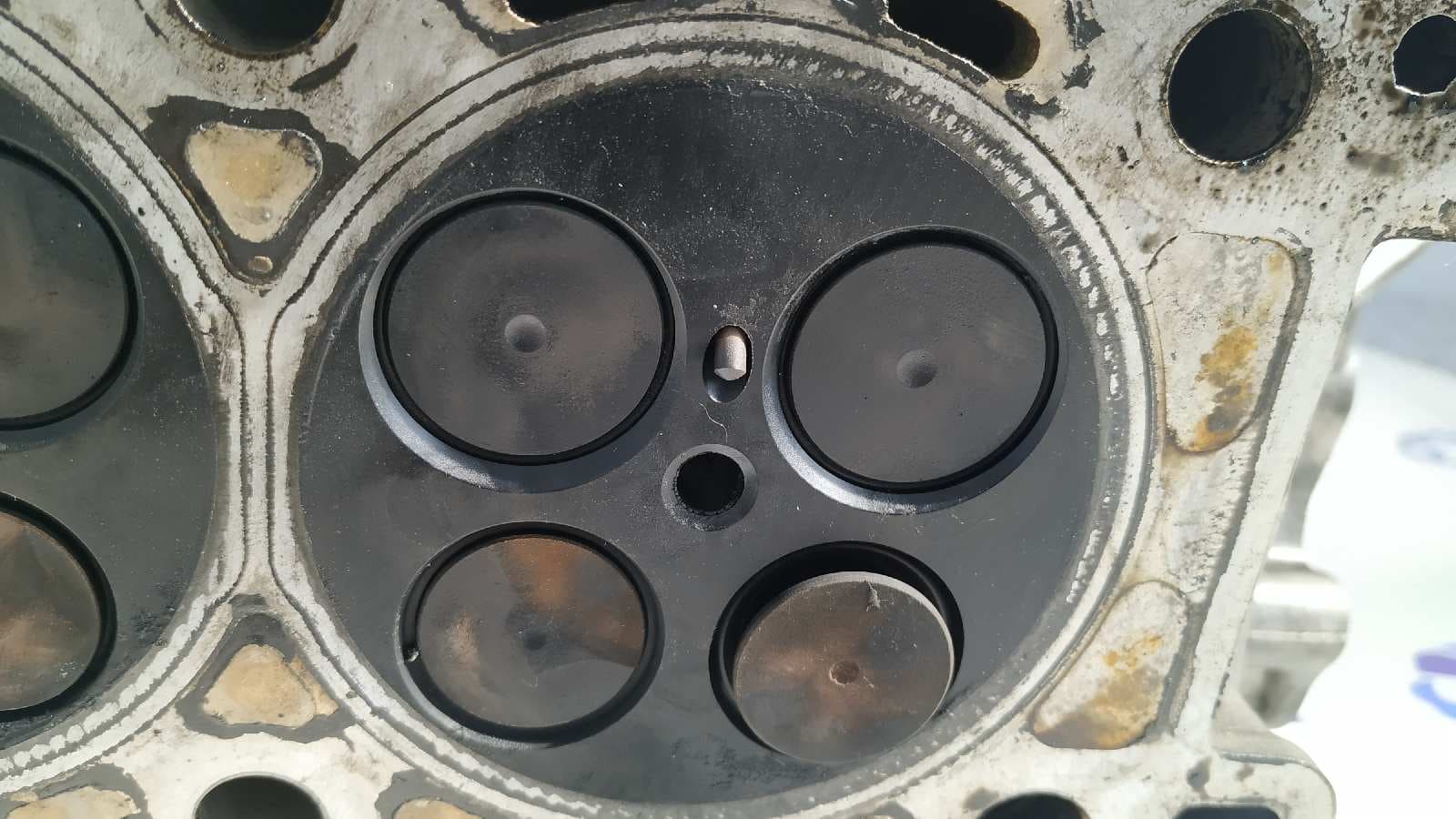 Recambio de CULATA para LAND ROVER RANGE ROVER 306DT referencia OEM IAM PM9X2Q 3