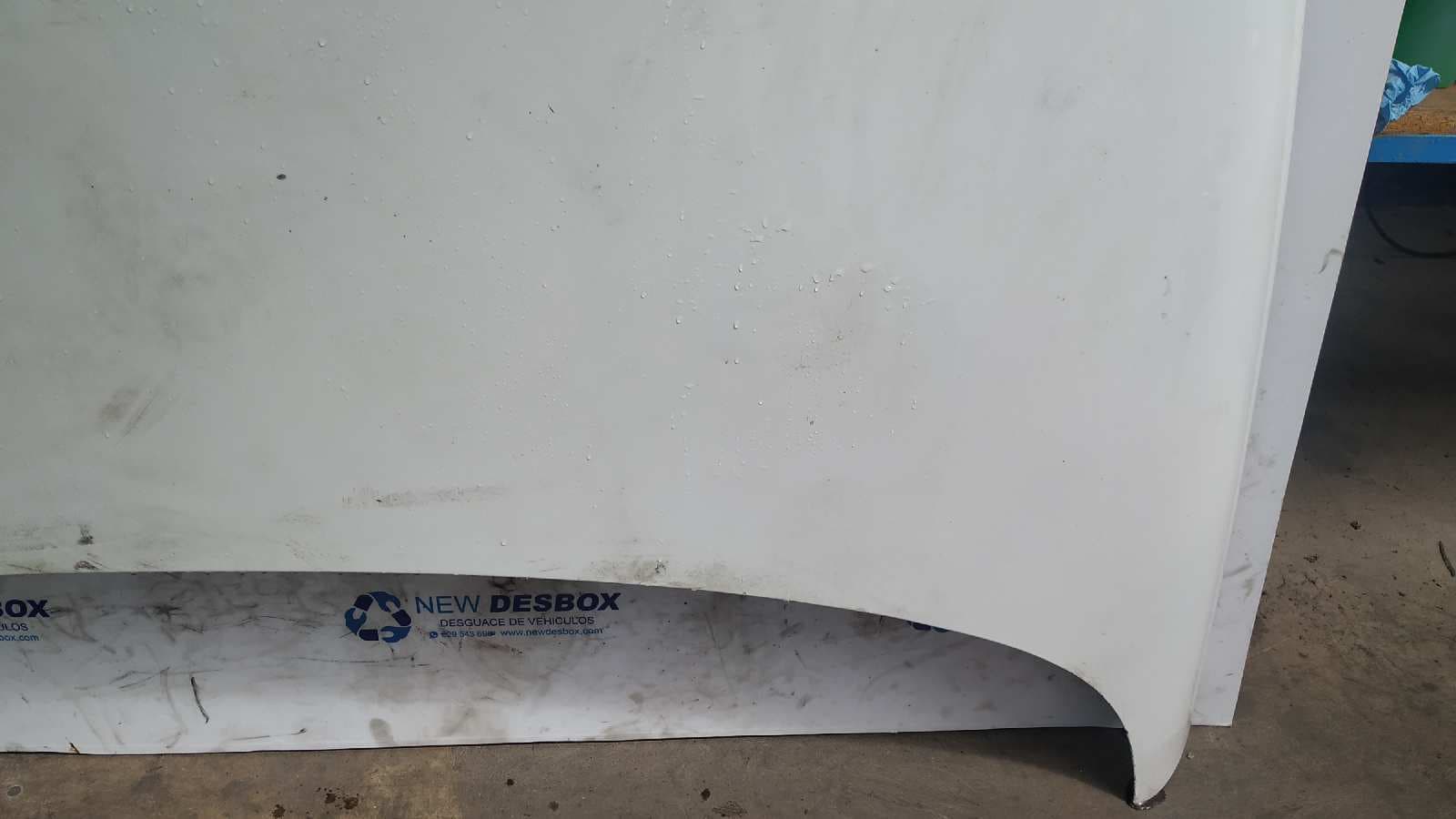 Recambio de CAPO para RENAULT LAGUNA (B56) F3R768 referencia OEM IAM    - BLANCO 6