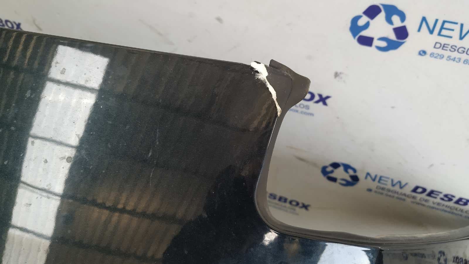 Recambio de PORTON TRASERO para RENAULT VEL SATIS (BJ0) G9T D7 referencia OEM IAM    - AZUL 8