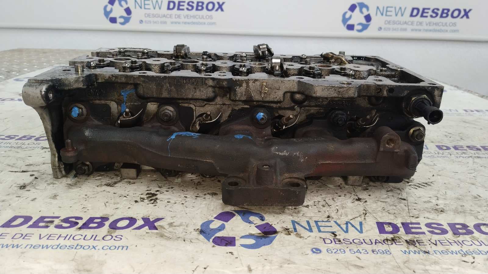 Recambio de CULATA para FIAT PANDA (169) 188A9000 referencia OEM IAM 55193109