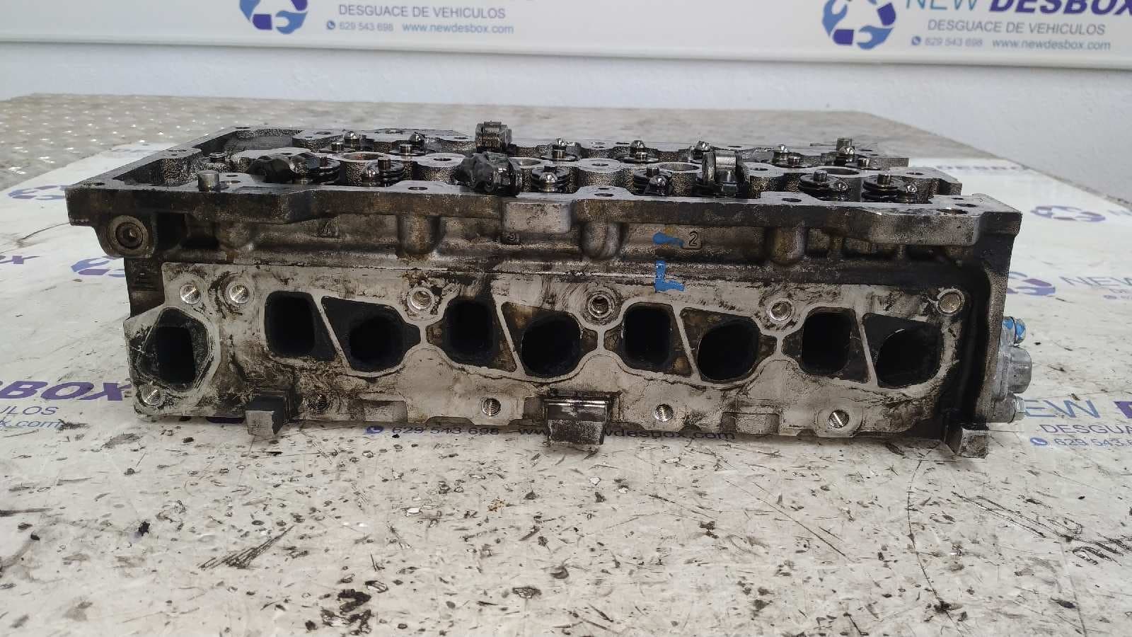 Recambio de CULATA para FIAT PANDA (169) 188A9000 referencia OEM IAM 55193109 5
